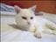 happytoaster